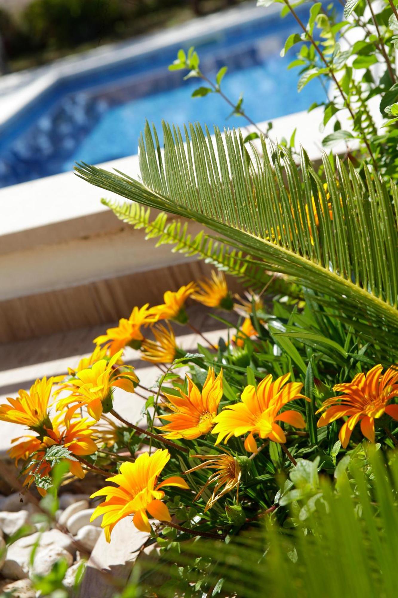 Semper - Heated Pool Apartment *